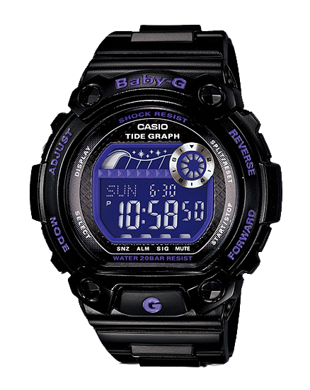 Casio BLX-100-1BER
