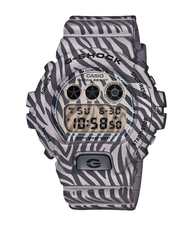 Casio DW-6900ZB-8ER