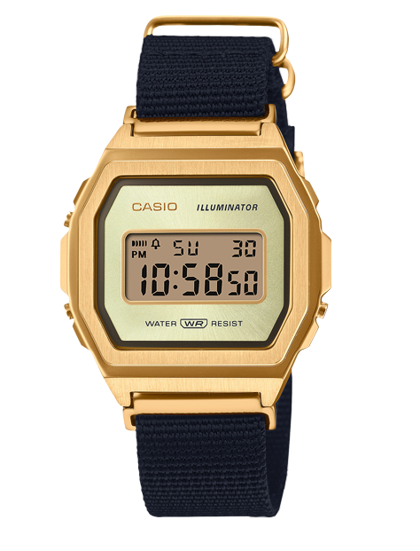 Casio A1000MGN-9E