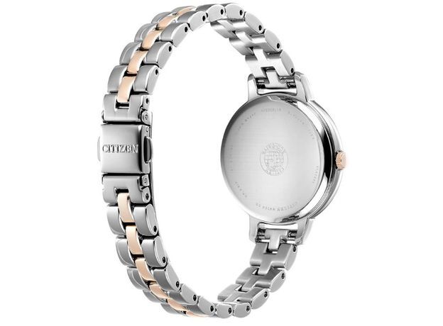 Citizen EW2446-81A