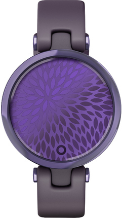 Garmin 010-02384-12
