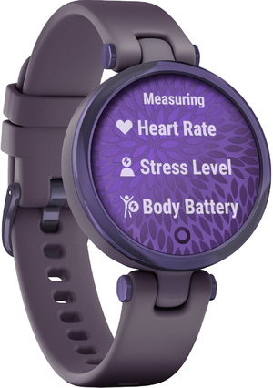 Garmin 010-02384-12