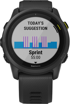 Garmin 010-02445-10