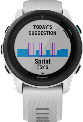 Garmin 010-02445-13