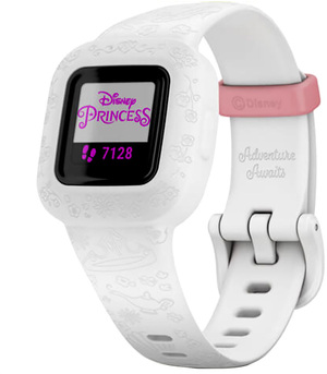 Garmin 010-02441-12