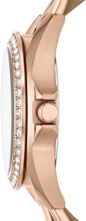 Fossil ES3466