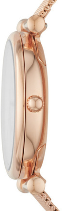 Fossil ES4918