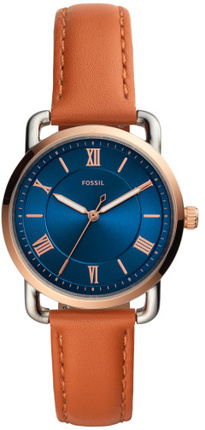 Fossil ES4825