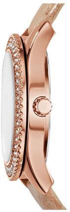 Fossil ES3816