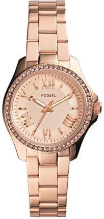 Fossil AM4578