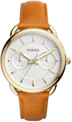 Fossil ES4006