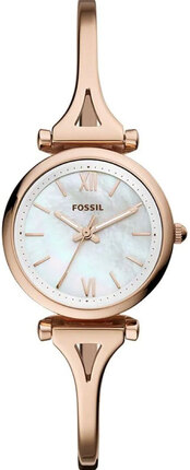Fossil ES4500