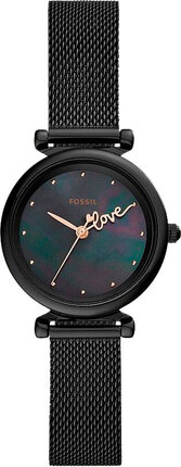 Fossil ES4829